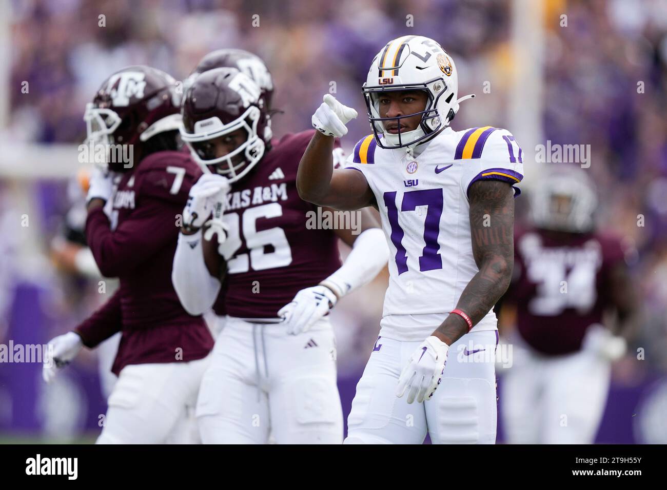 LSU wide receiver Chris Hilton Jr. (17) reacts after a first down pass