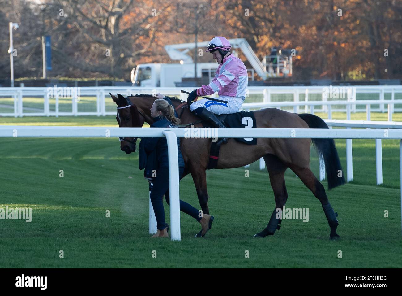 Breeder mrs cjc bailey hires stock photography and images Alamy
