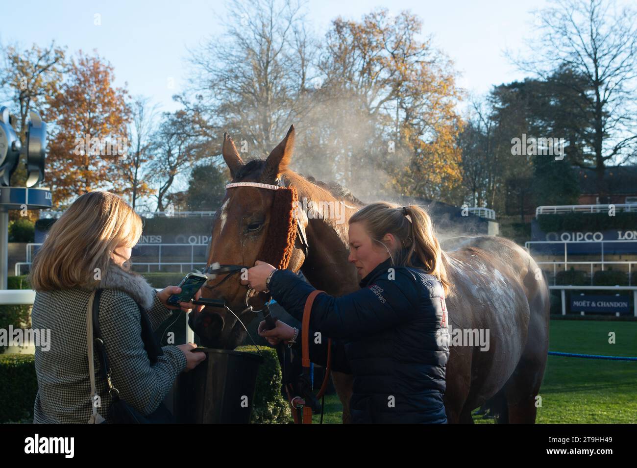 Ascot, UK. 25th November, 2023. A very happy groom is with