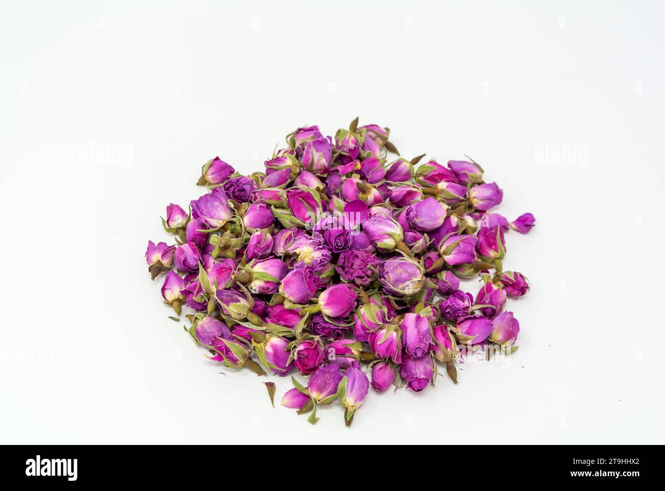 Rosebuds with white background. Stock Photo