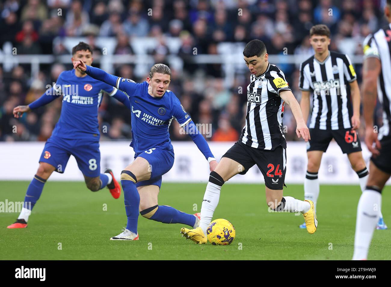 Newcastle, UK. 25th Nov, 2023. Miguel Almir-n #24 of Newcastle United gets past Conor Gallagher #23 of Chelsea during the Premier League match Newcastle United vs Chelsea at St. James's Park, Newcastle, United Kingdom, 25th November 2023 (Photo by Ryan Crockett/News Images) Credit: News Images LTD/Alamy Live News Stock Photo