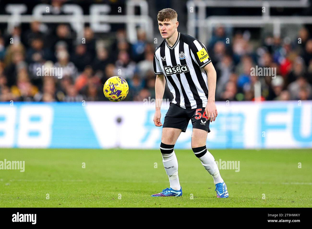 Newcastle, UK. 25th Nov, 2023. Alex Murphy #54 of Newcastle United during the Premier League match Newcastle United vs Chelsea at St. James's Park, Newcastle, United Kingdom, 25th November 2023 (Photo by Ryan Crockett/News Images) Credit: News Images LTD/Alamy Live News Stock Photo