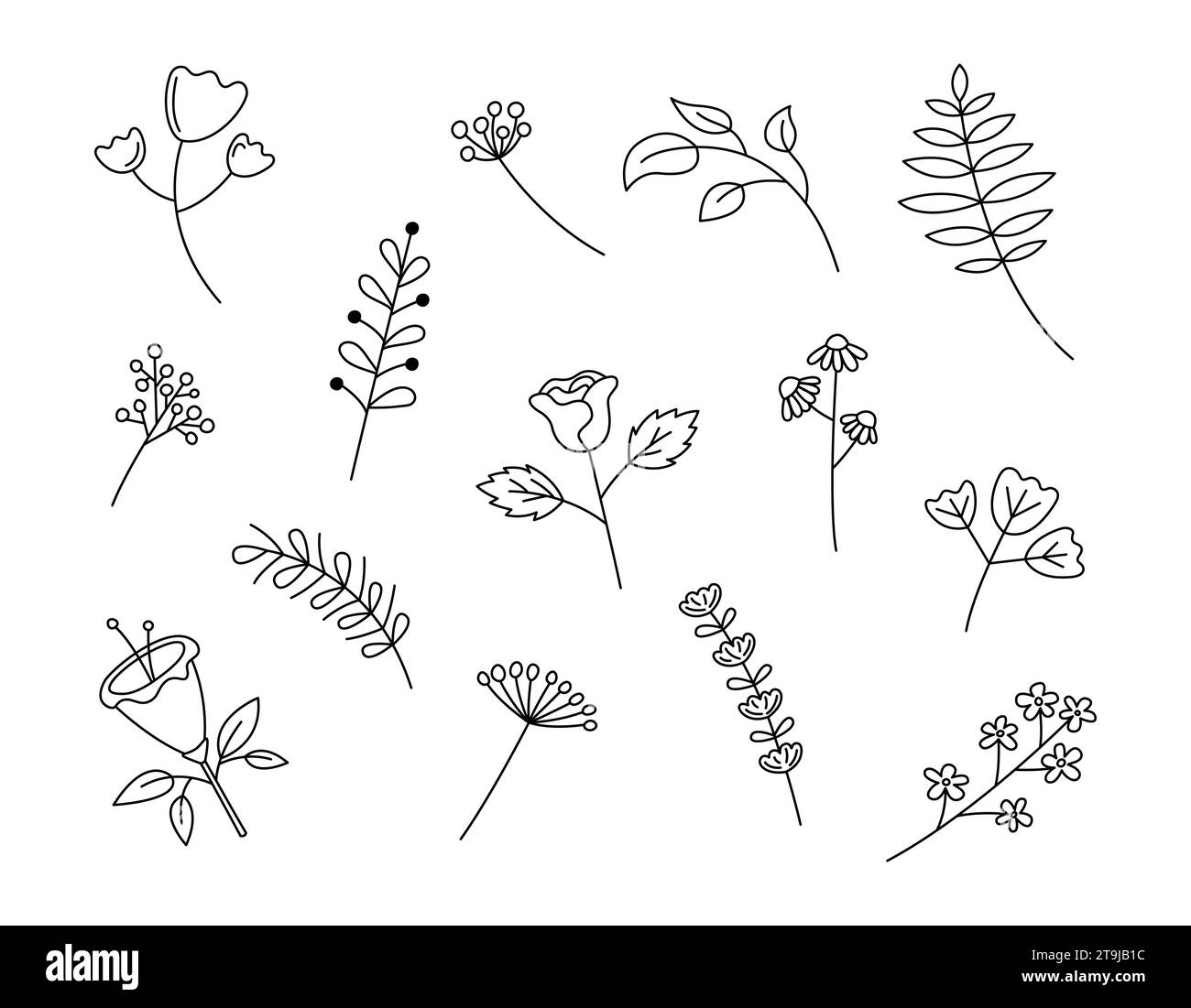 Doodle flowers set. Vector illustration. Cute hand drawn floral ...