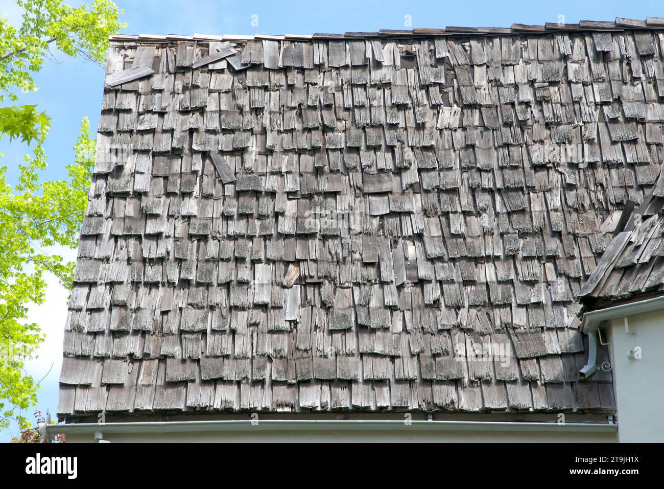 Wood shingle roof in poor repair. Wood shingles are thin, tapered