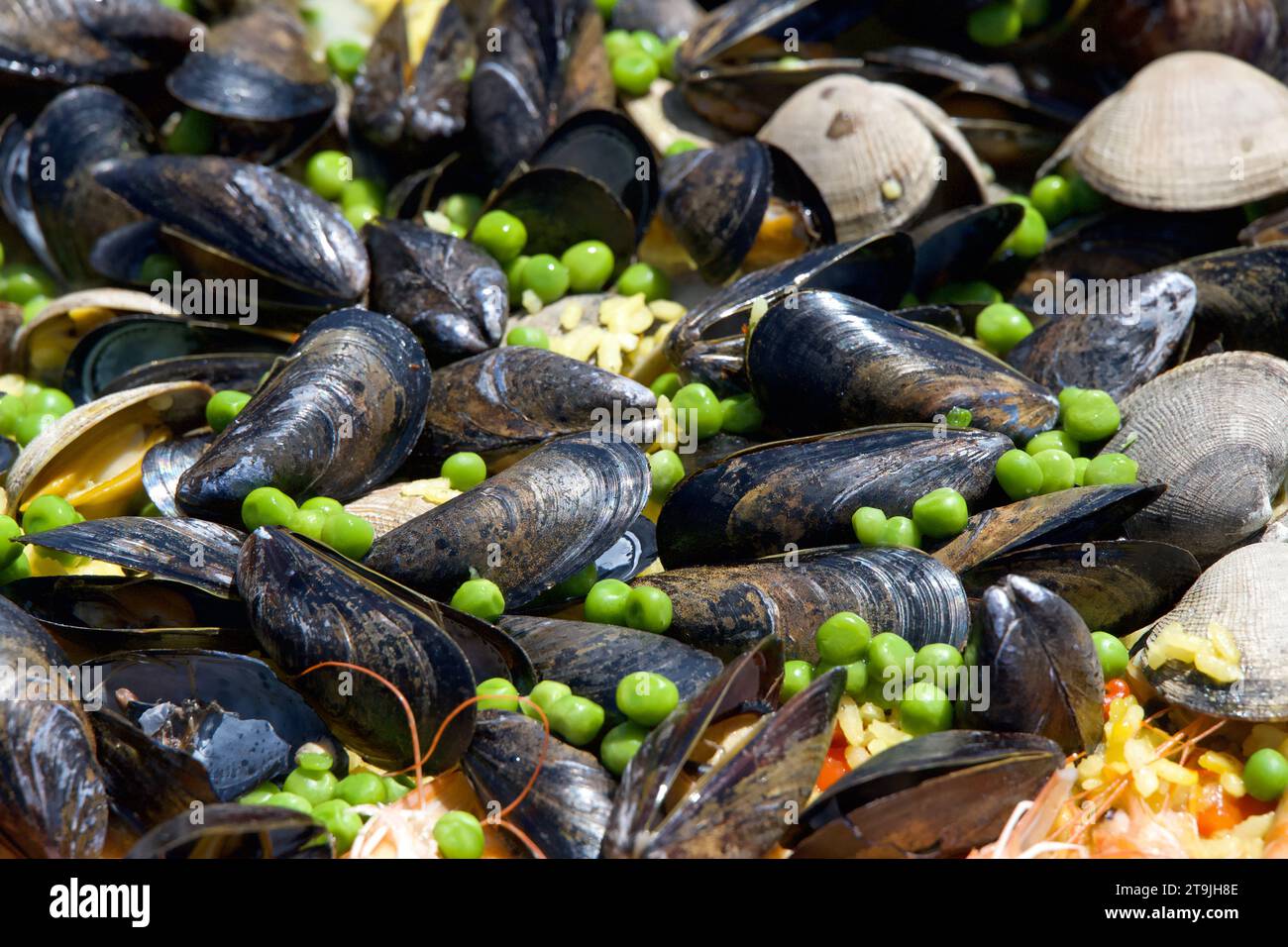 Close up on clams, muscles, shrimp rice and peas cooking in a giant outdoor wok. traditional Paella Stock Photo