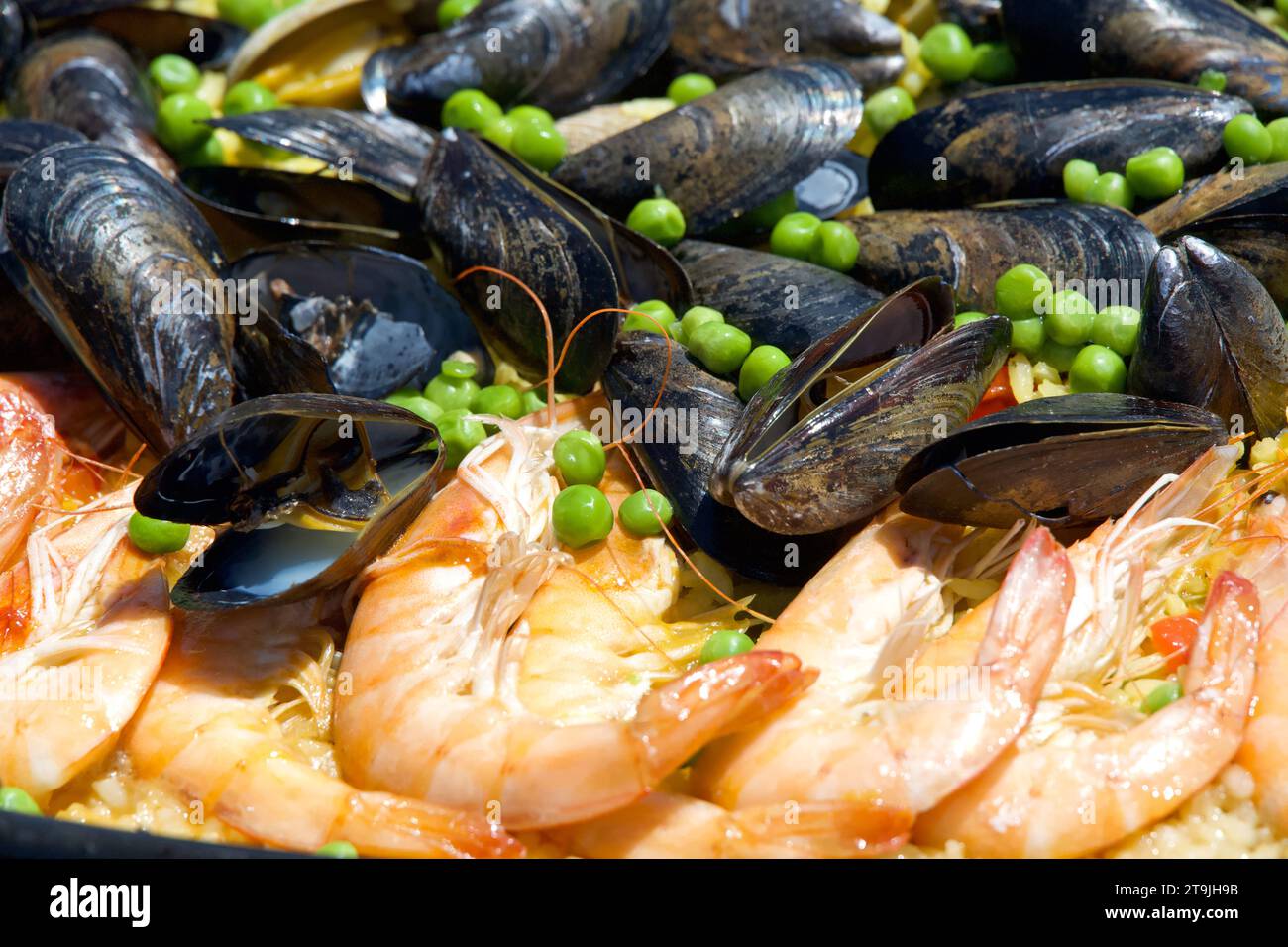Close up on clams, muscles, shrimp rice and peas cooking in a giant outdoor wok. traditional Paella Stock Photo
