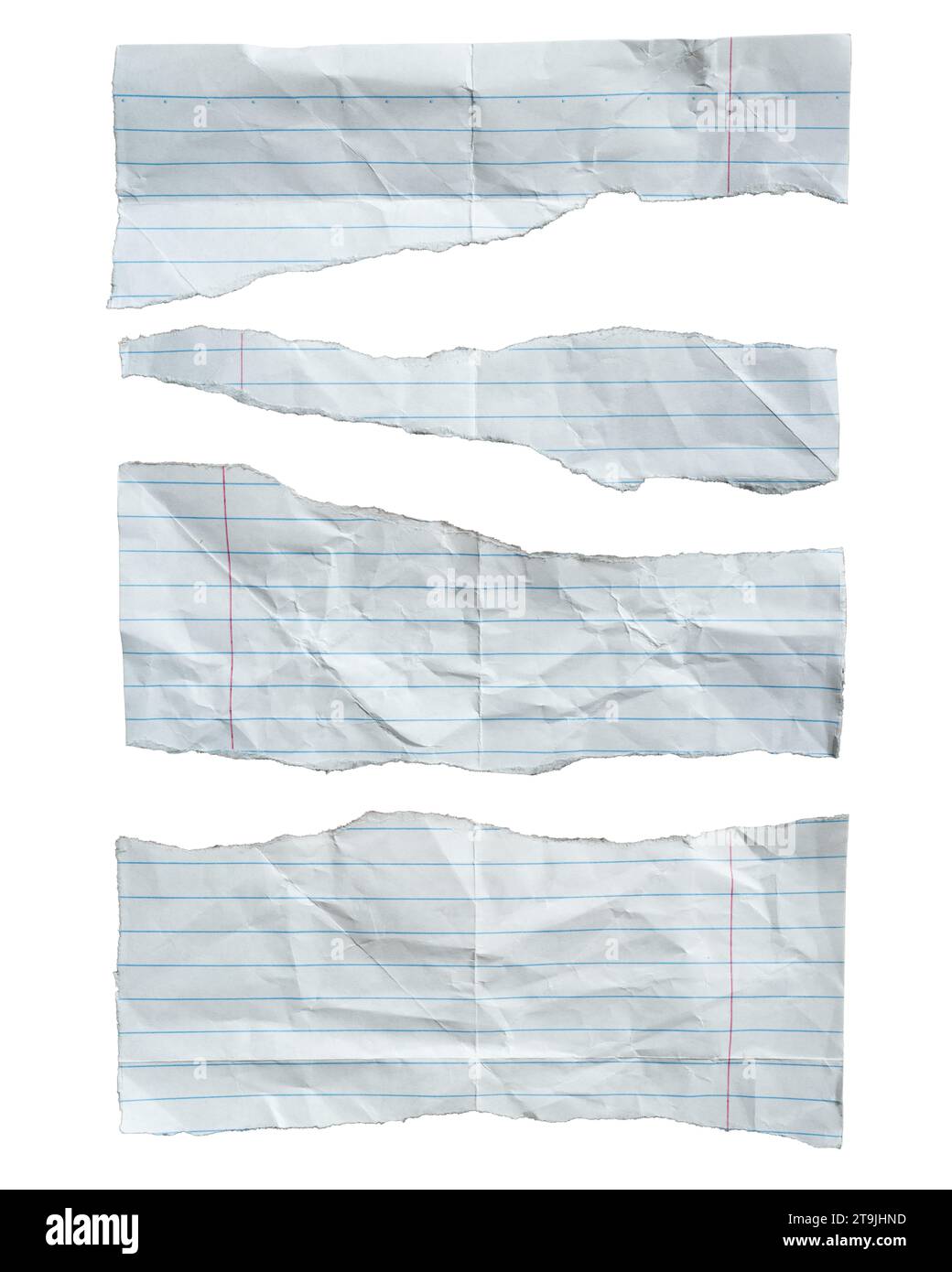 Torn lined notebook paper on white background with clipping path Stock Photo