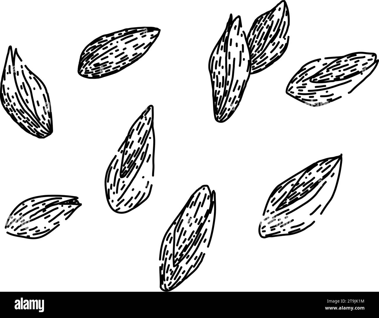 grain barley sketch hand drawn vector Stock Vector Image & Art - Alamy
