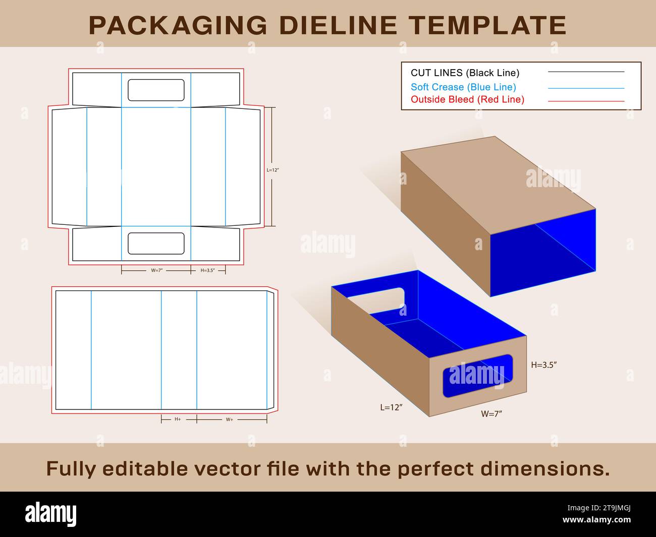 Shoe Box, Match Box Dieline Template, Editable Vector File Stock Vector