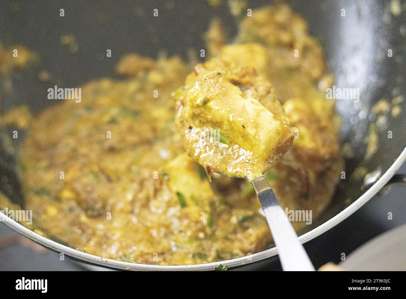 Delicious Paneer masala curry garnished with caramelized onions and