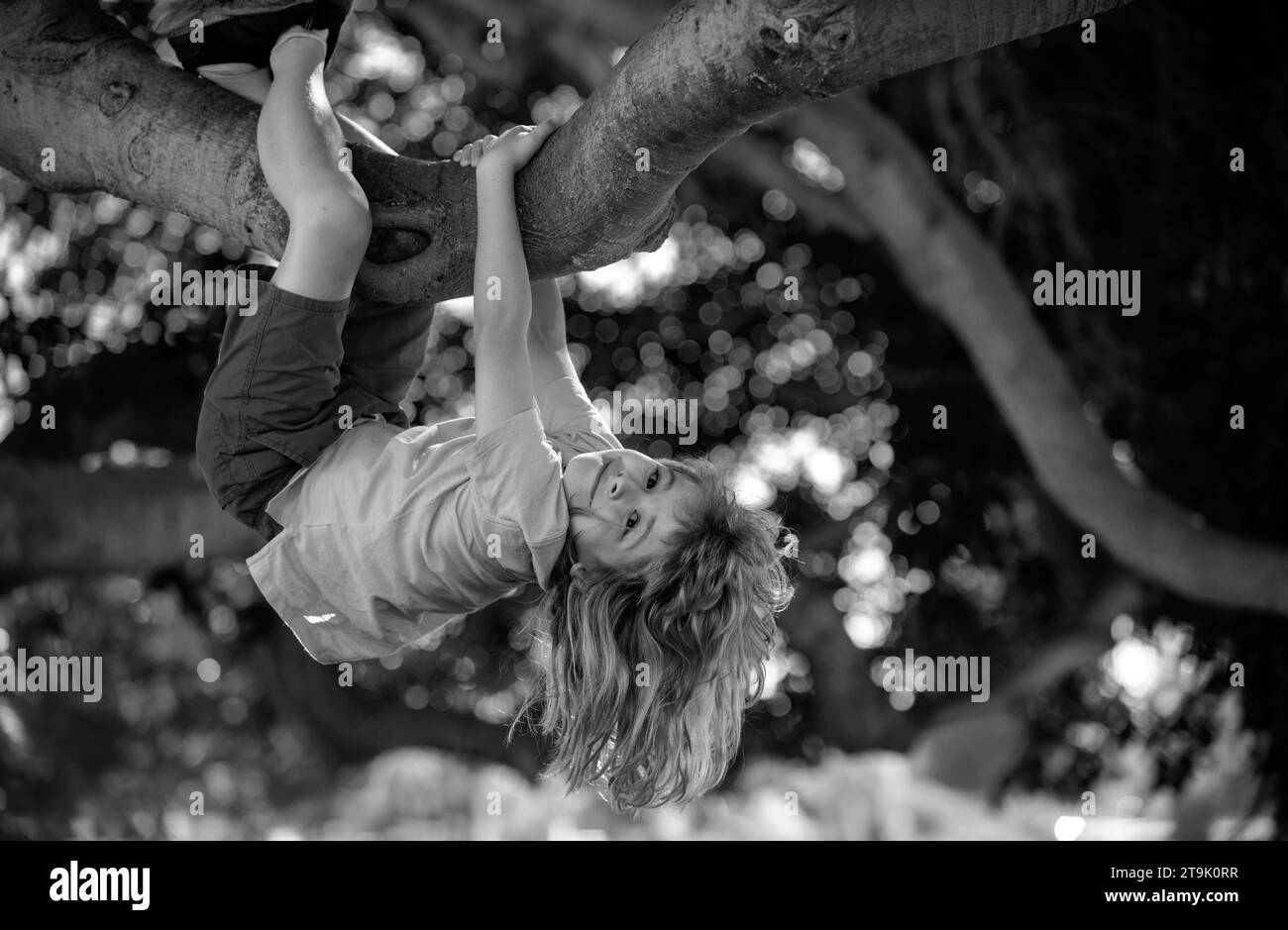 Happy kids climbing up tree and having fun in summer park. Kids climbing trees, hanging upside down on a tree in a park. Child protection. Childhood Stock Photo