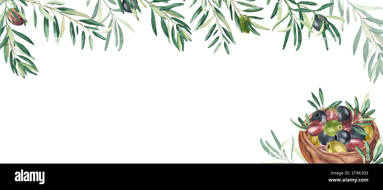 Horizontal frame, border with olive branches and ripe fruits. Olives in ...