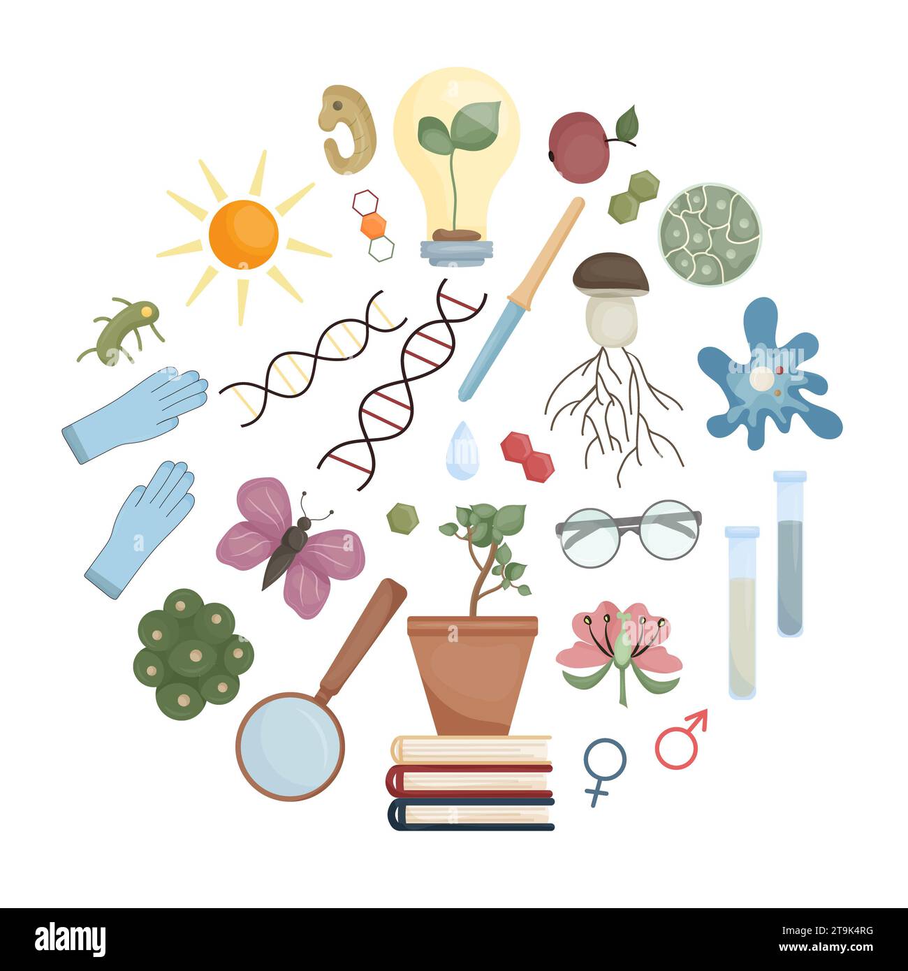 Cute graphics scientist experimental equipment illustration, biology