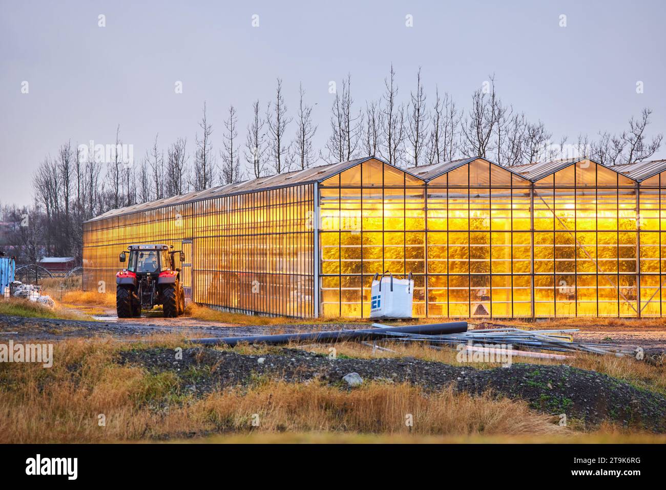 Iceland heat greenhouses with geothermal water Stock Photo