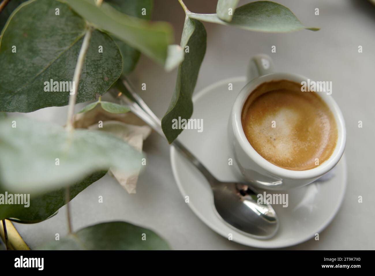 top view of coffee next to eucalyptus leaves Stock Photo