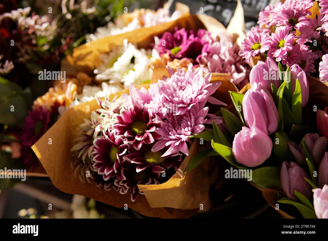 detail of flowers in a shop window with natural light Stock Photo