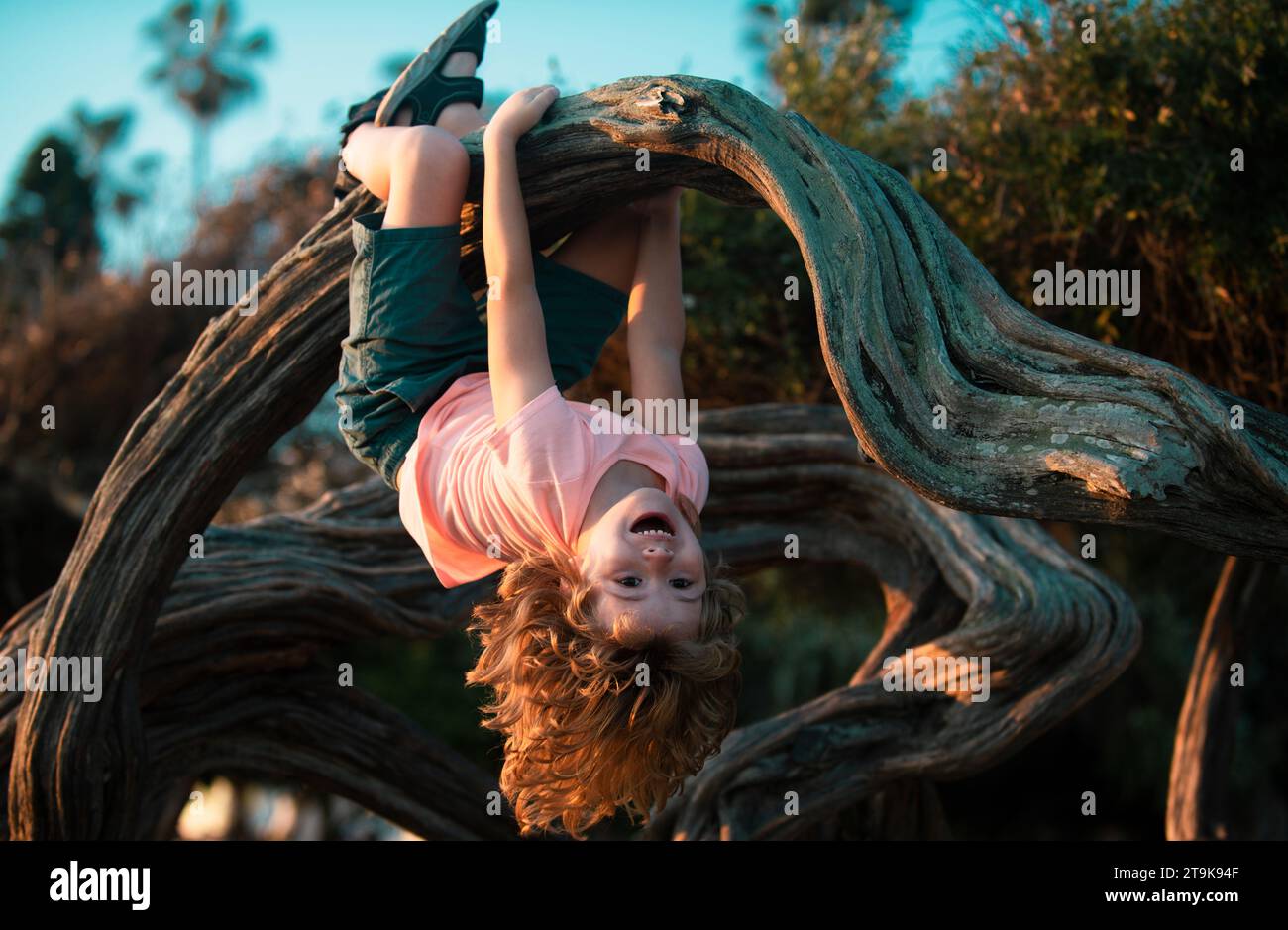 Child boy in park, climb on a tree rope. Stock Photo
