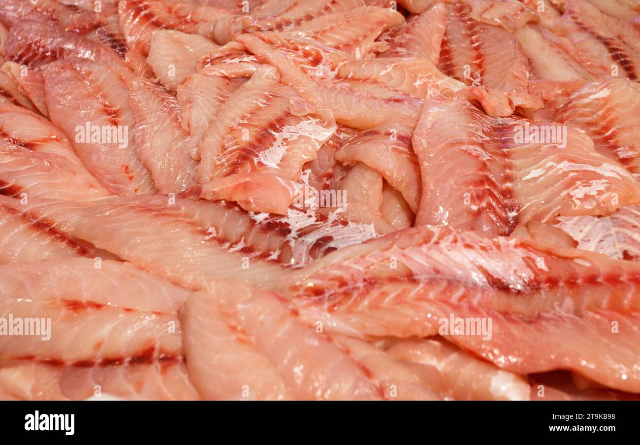 Seabass raw, hamour, grouper fish, sea bass fillet sliced and piled in ...