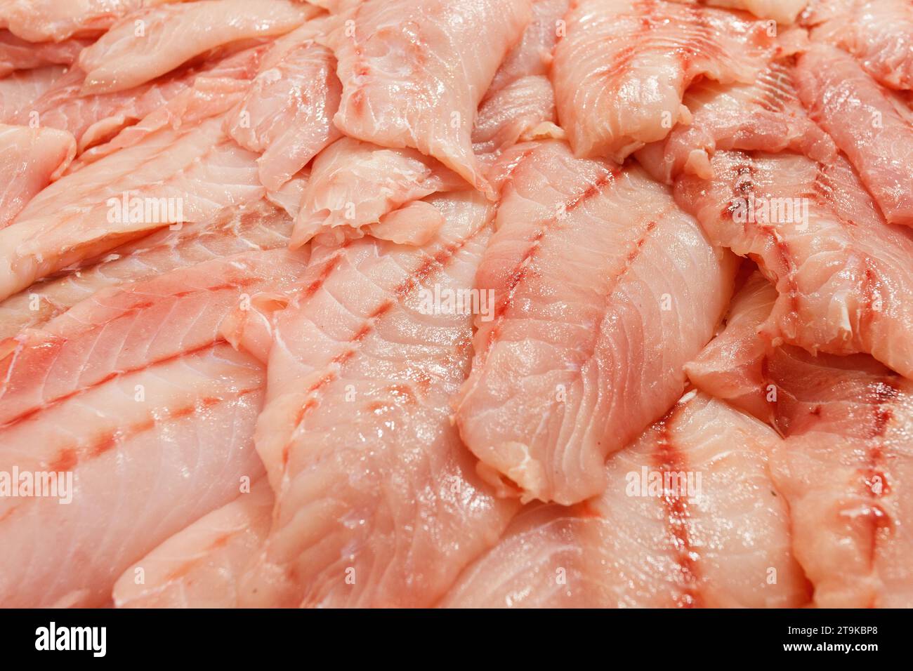 Seabass, hamour, grouper fish, sea bass fillet many sliced pieces and