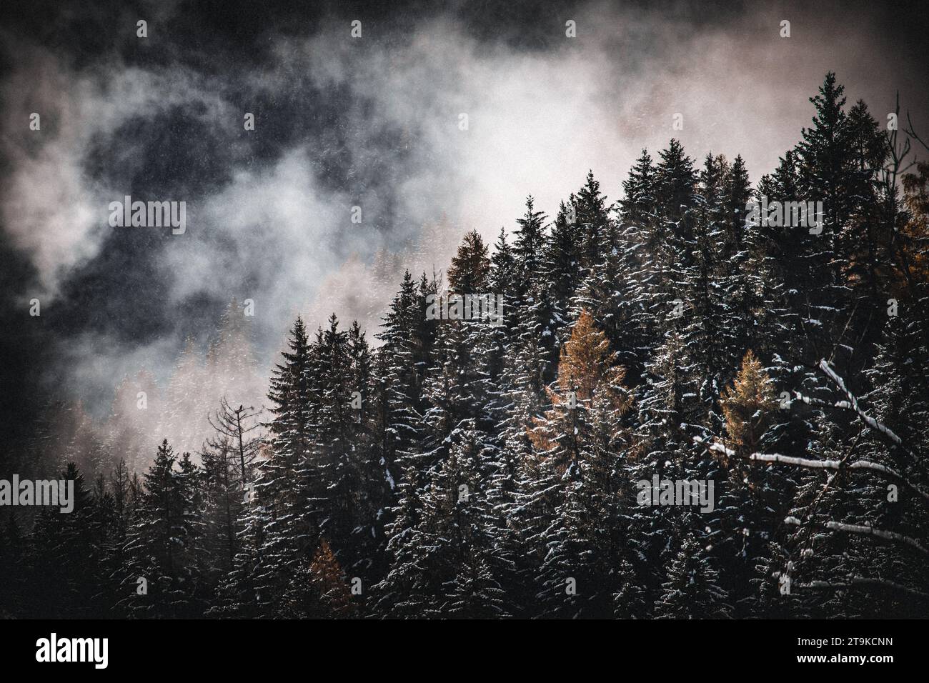First snow in italian mountains Stock Photo