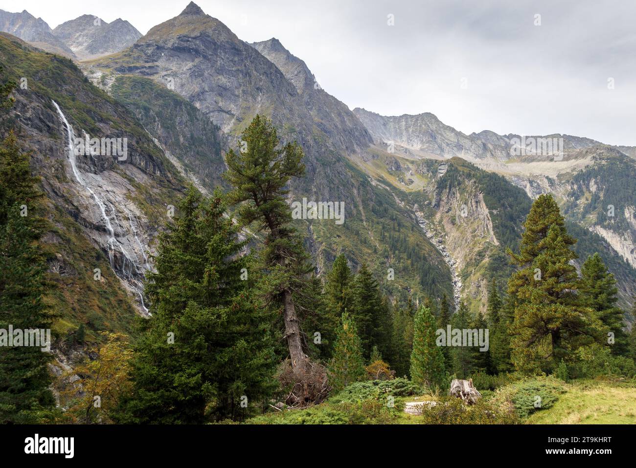 Waterfall in Zemmgrund alpine valley in the Zillertal Alps. Swiss stone pine forest. Austria. Europe. Stock Photo