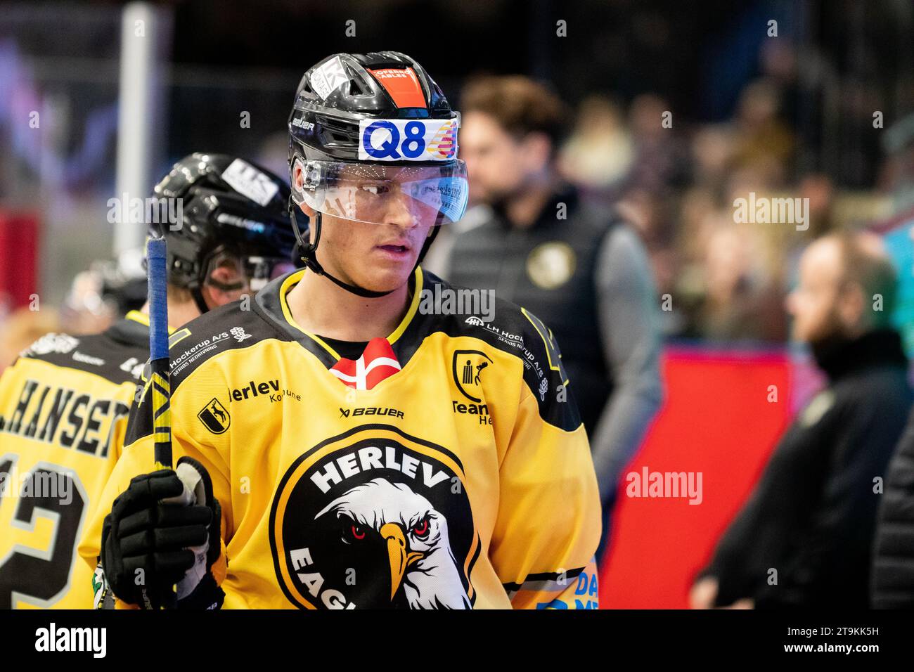 Herlev eagles hi-res stock photography and images - Alamy