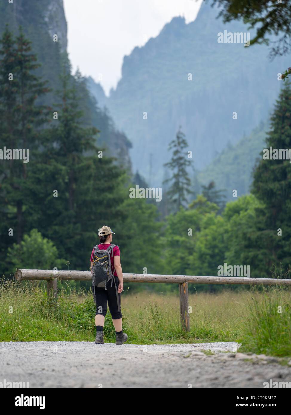 Closer exploration hi-res stock photography and images - Alamy
