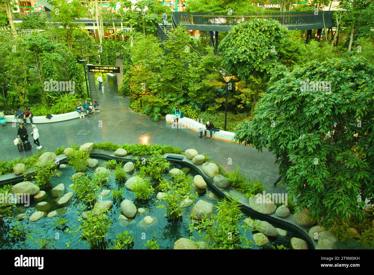 Qatar Doha Hamad International Airport The Orchard indoor garden