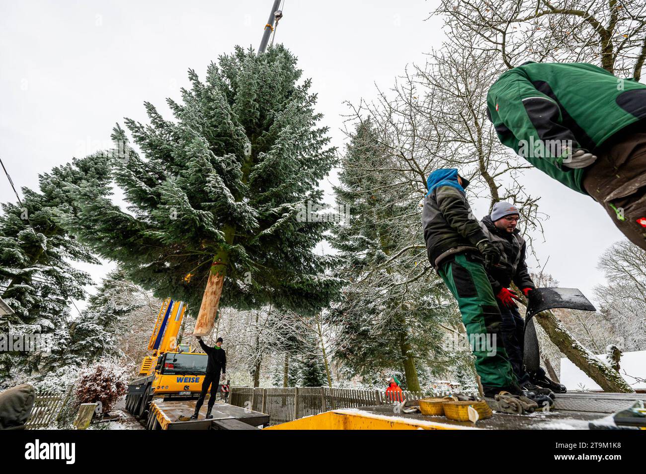 Teichwolframsdorf hires stock photography and images Alamy