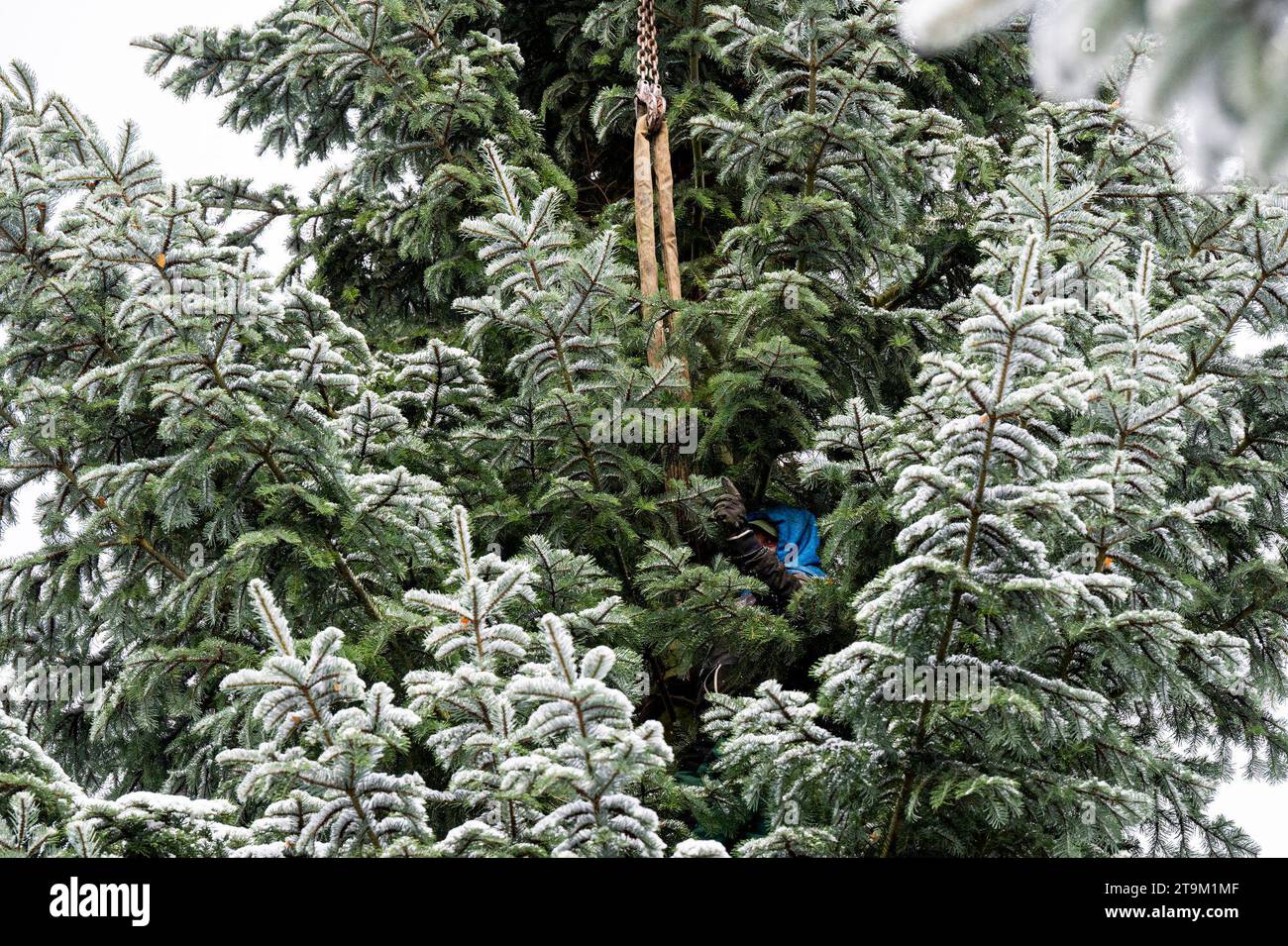 Teichwolframsdorf hires stock photography and images Alamy