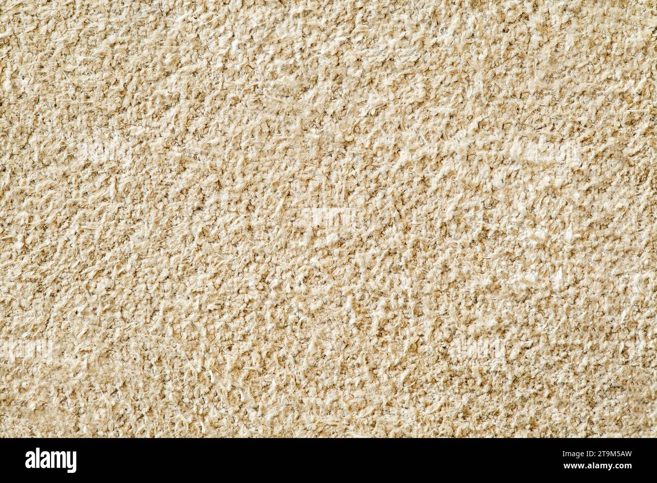 Beige suede, inner part of genuine leather, close-up macro view Stock Photo