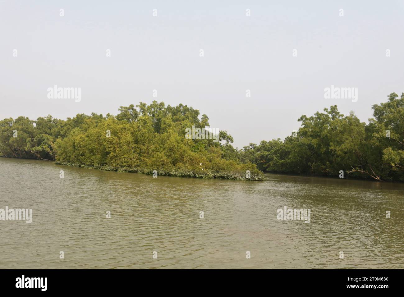 Khulna, Bangladesh - November 24, 2023: The Sundorbons is the largest mangrove forest in the world. A UNESCO world heritage site and wildlife sanctuar Stock Photo