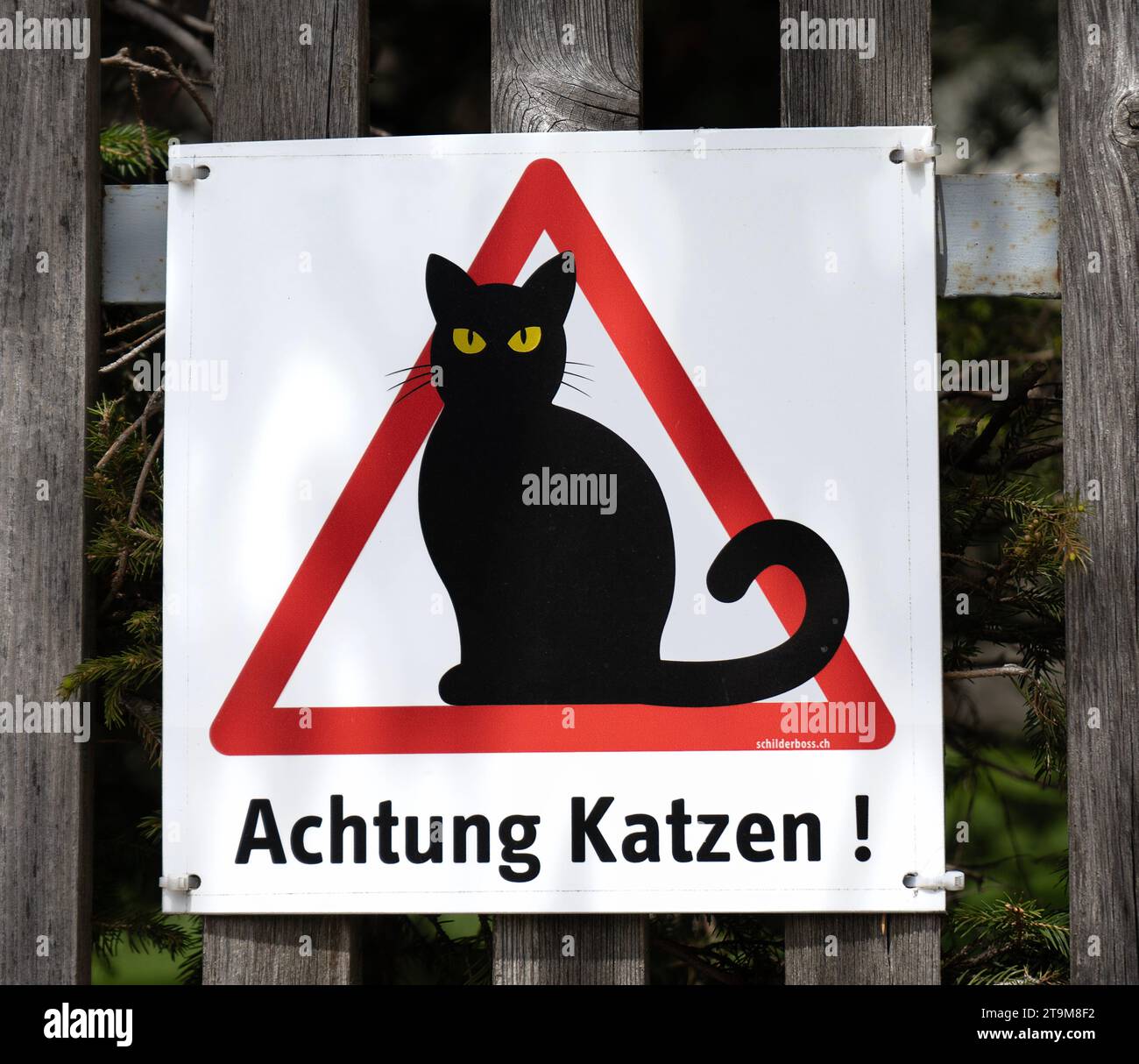 Do not feed the cats sign hi-res stock photography and images - Alamy