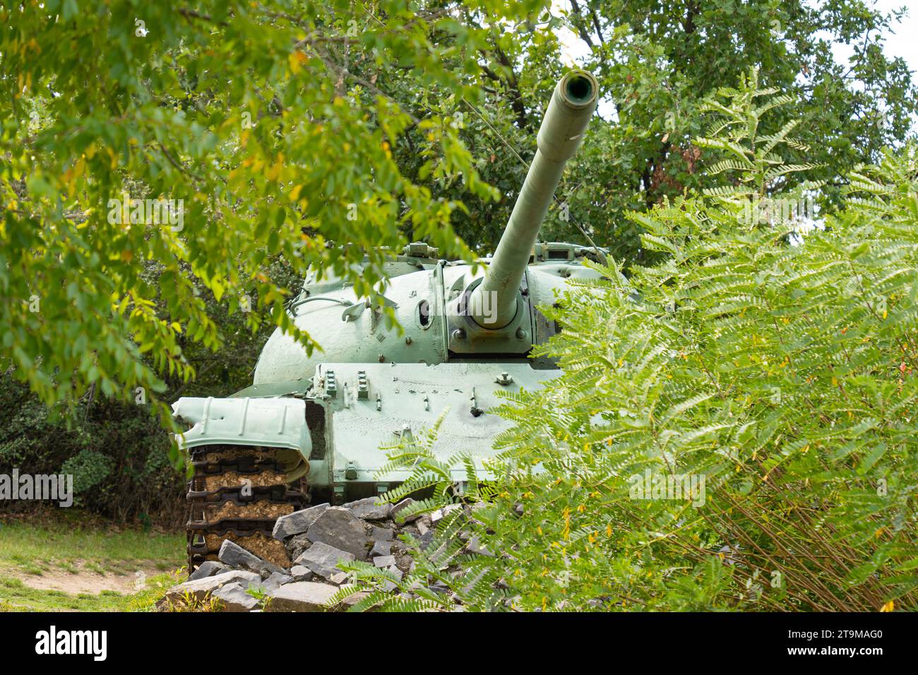 Soviet-made old green T-54 tank in the cover of green bushes Stock Photo
