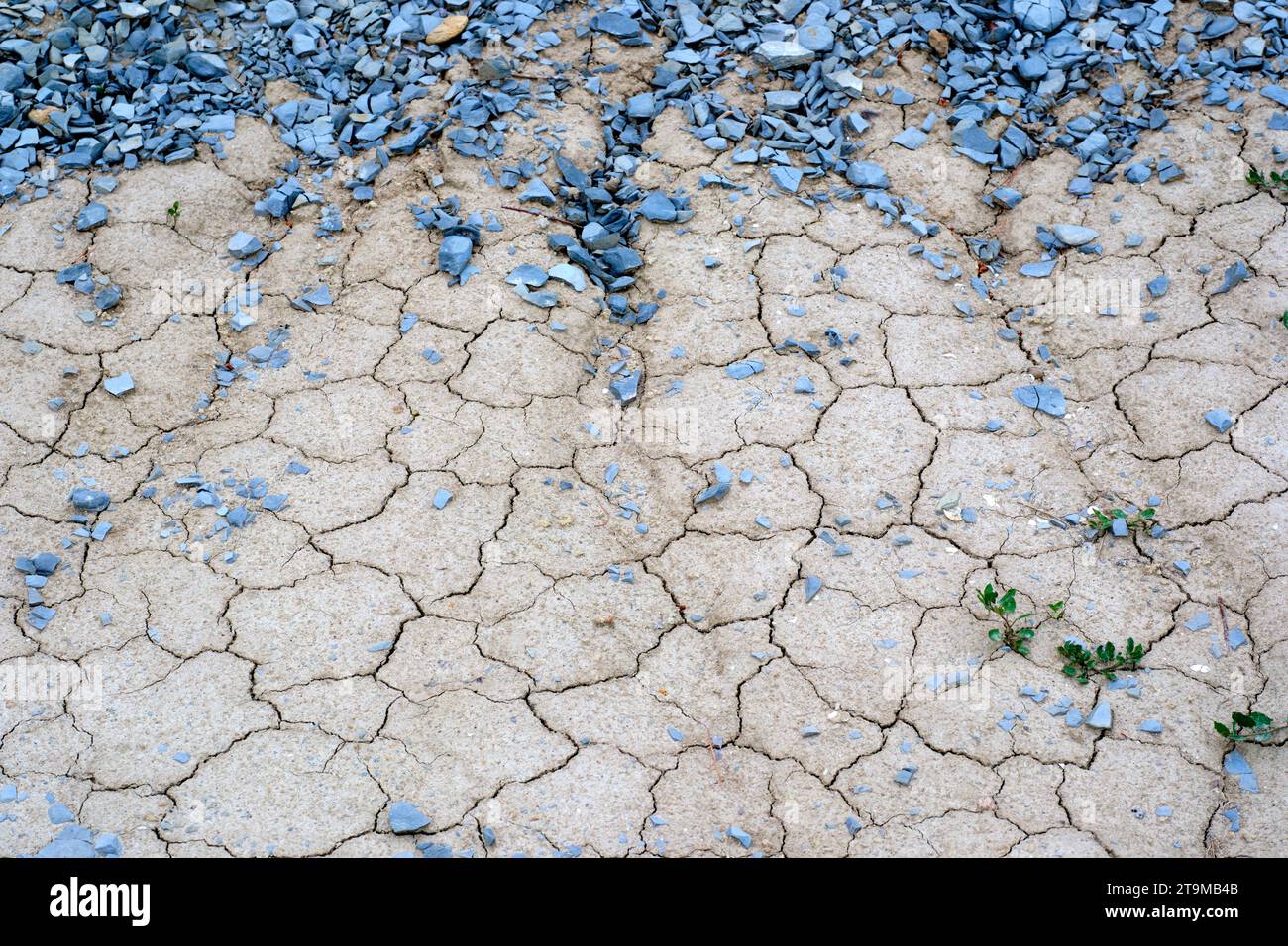 Soil cracked by dry climate. Climate change concept. Stock Photo