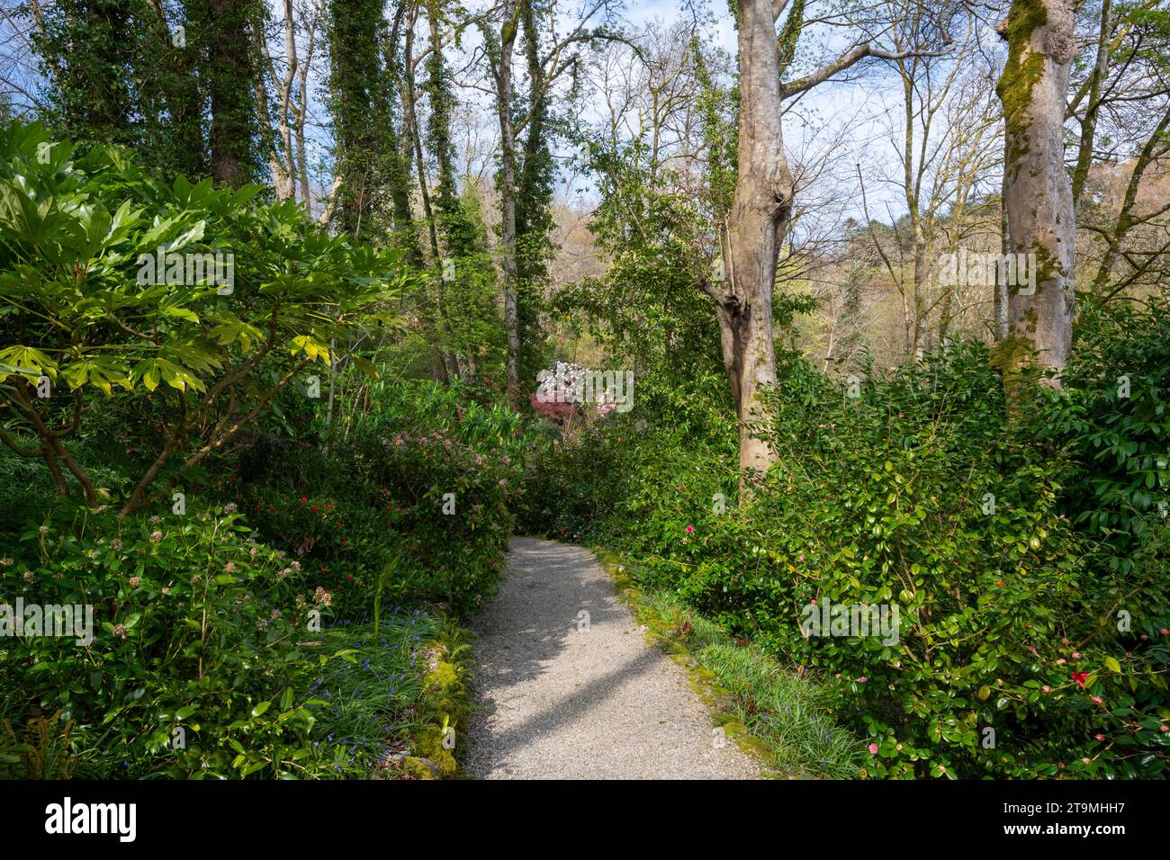 Plas Cadnant Hidden Gardens, Menai Bridge, Anglesey, North Wales Stock