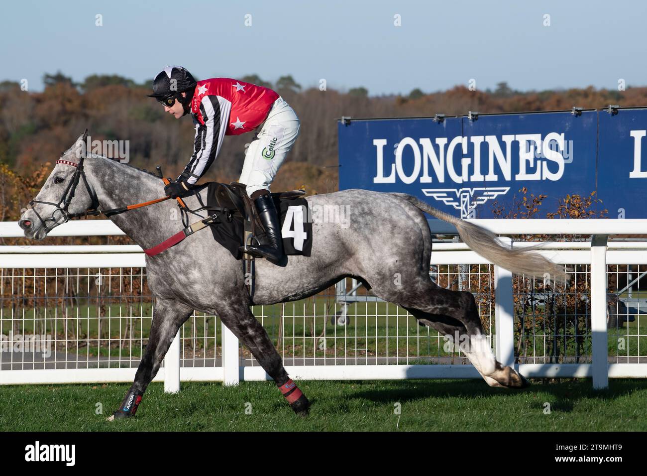 Ascot, Berkshire, UK. 25th November, 2023. Horse Straw Fan Jack ridden