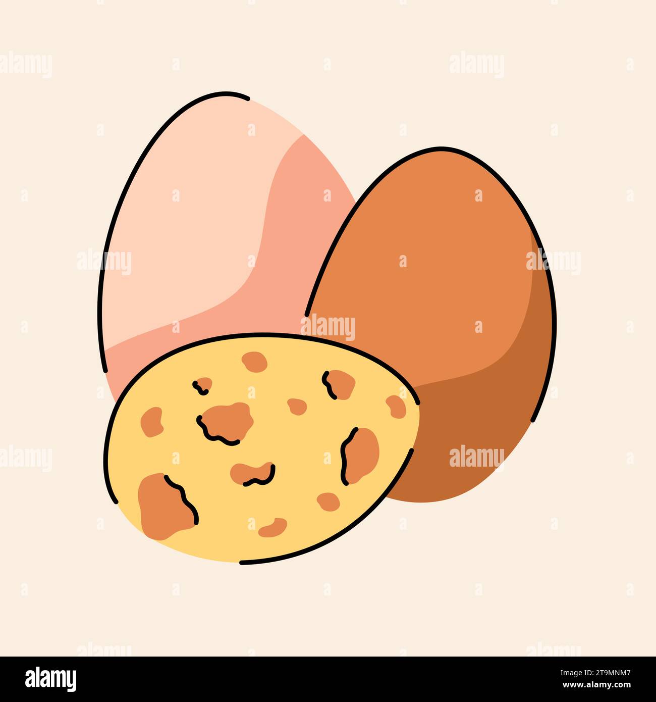 Hand drawn eggs chicken and quail color element. Cartoon unprocessed