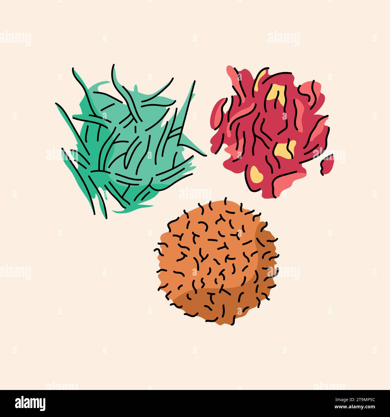 Hand drawn variety of tea color element. Cartoon unprocessed food. Isolated vector illustration. Stock Vector