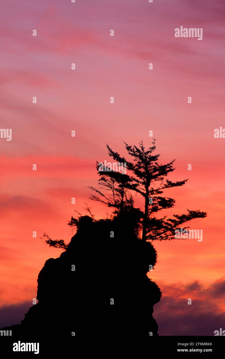Schooner Rocks sunset, Siletz Bay Park, Lincoln City, Oregon Stock ...