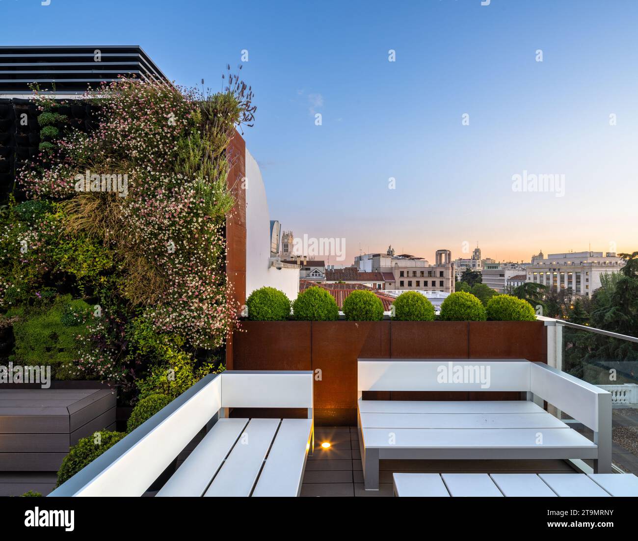 Picture of Untitled Image