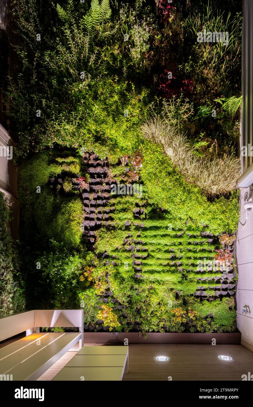 Picture of Melbourne Lifestyle Apartments - Best Views on Collins