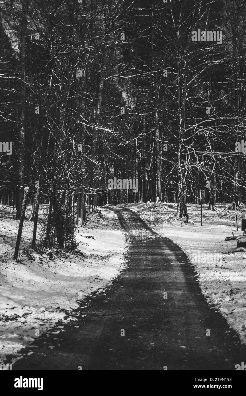 A scenic winter landscape featuring a deserted pathway winding through ...
