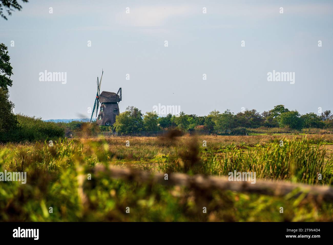 An old windmill in the nature park on the Baltic Sea. Stock Photo