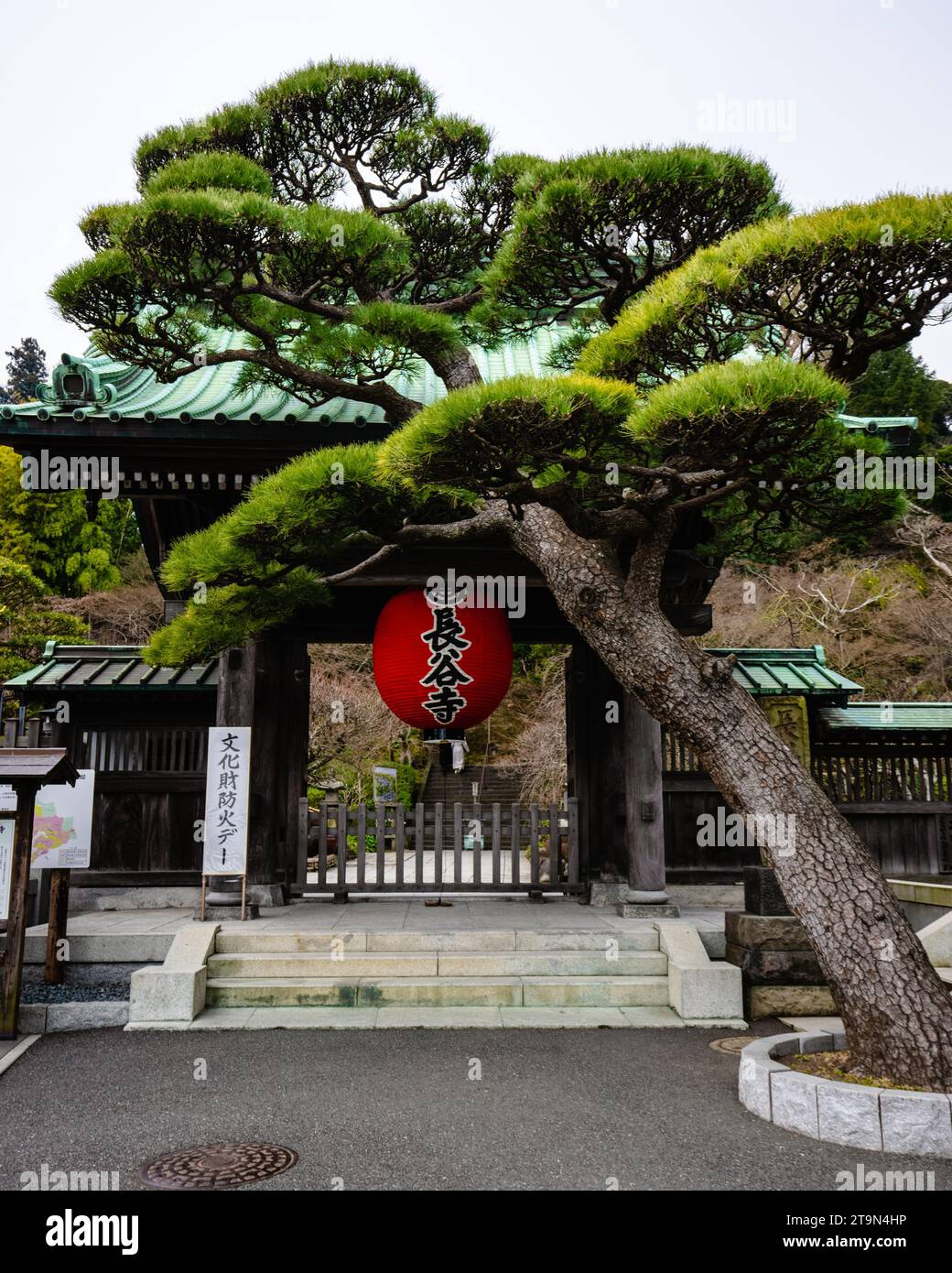 A Hasadera Buddhist Temple in Kamakura Japansurrounded by lush greenery and illuminated by bright red lanterns Stock Photo