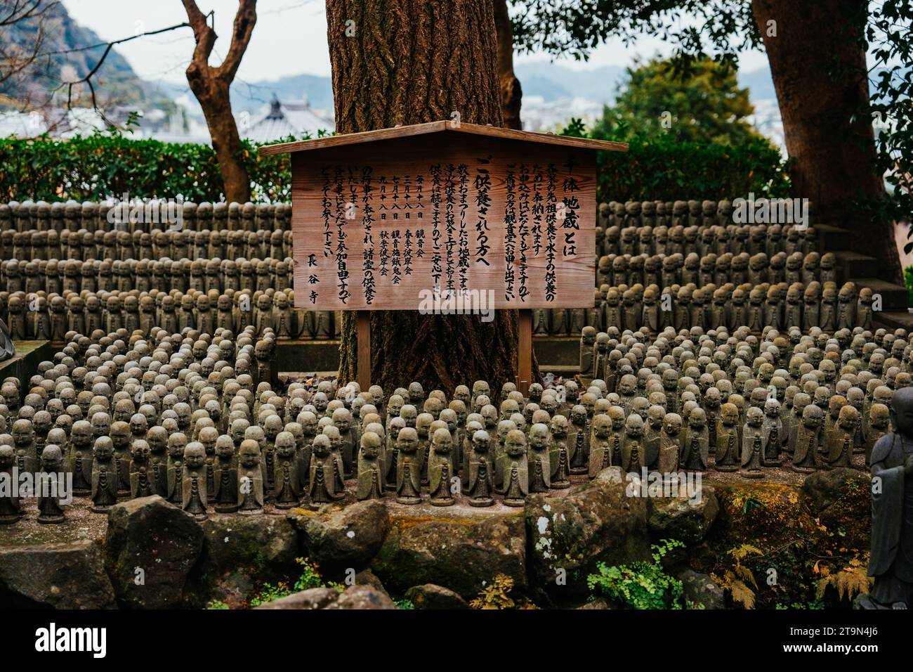 Stone Jizo statues at the Hasedera Temple in Kamakura Japan. Guardian