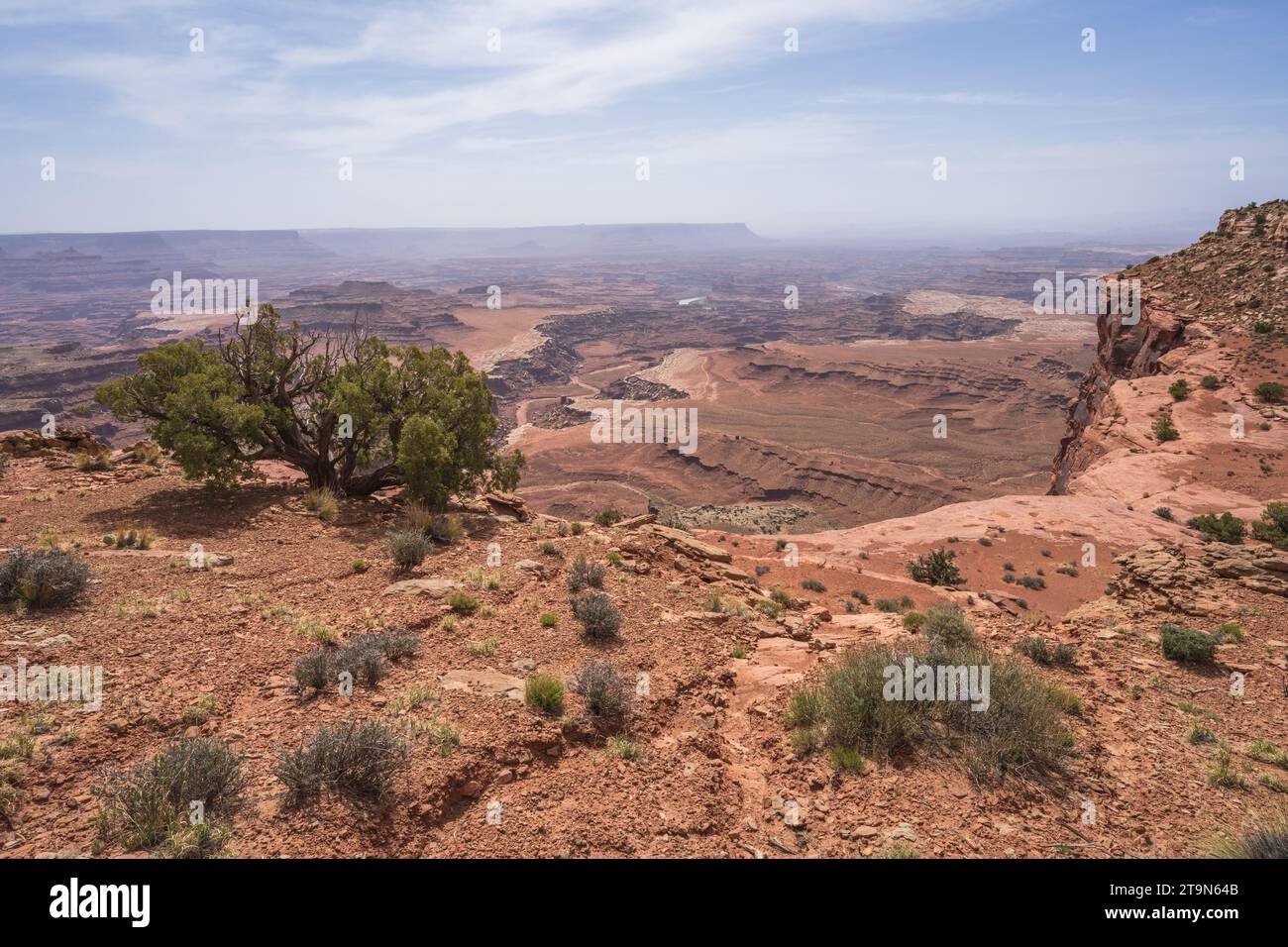 hiking the lathrop trail in canyonlands national park in utah, usa