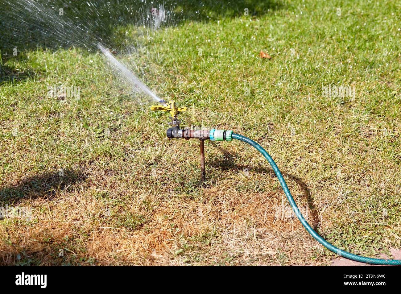 A rotating garden sprinkler waters the grass. Water in motion ...