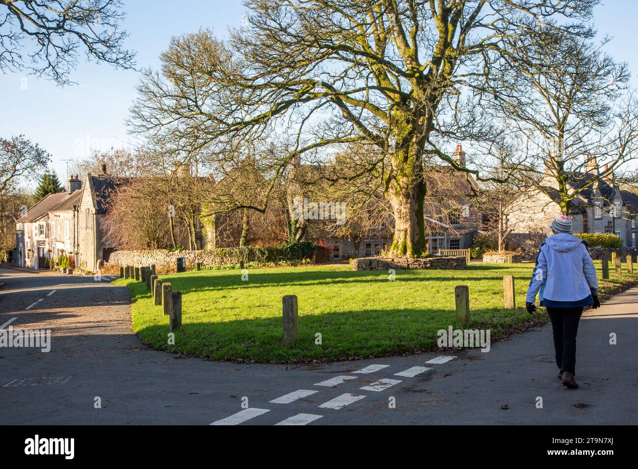 Woman walking past the village green and country cottages and houses around the village green in the Staffordshire Moorlands village of Alstonefield Stock Photo