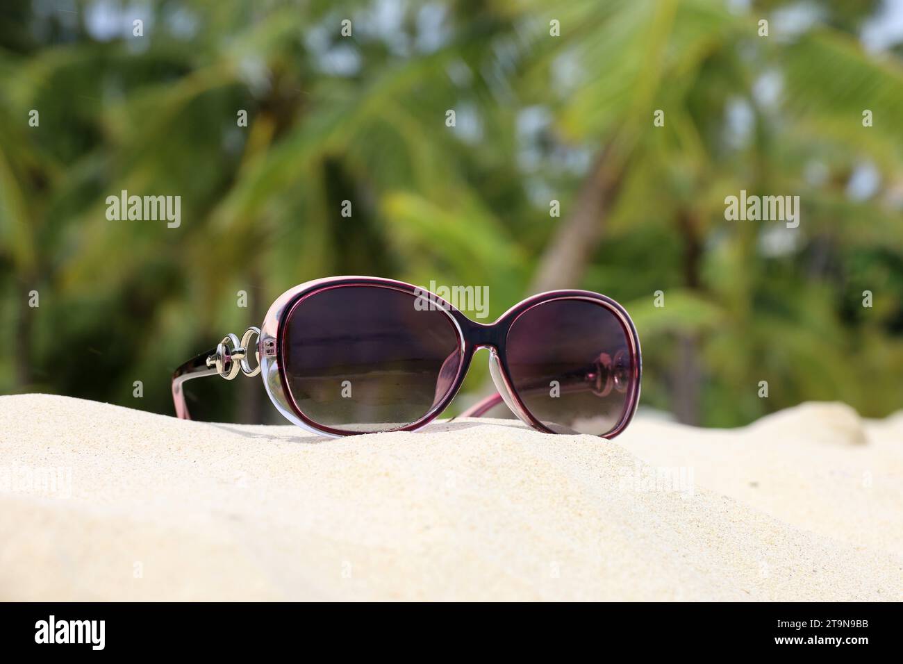 Sunglasses on a sand of tropical beach. Defocused view to coconut palm trees Stock Photo
